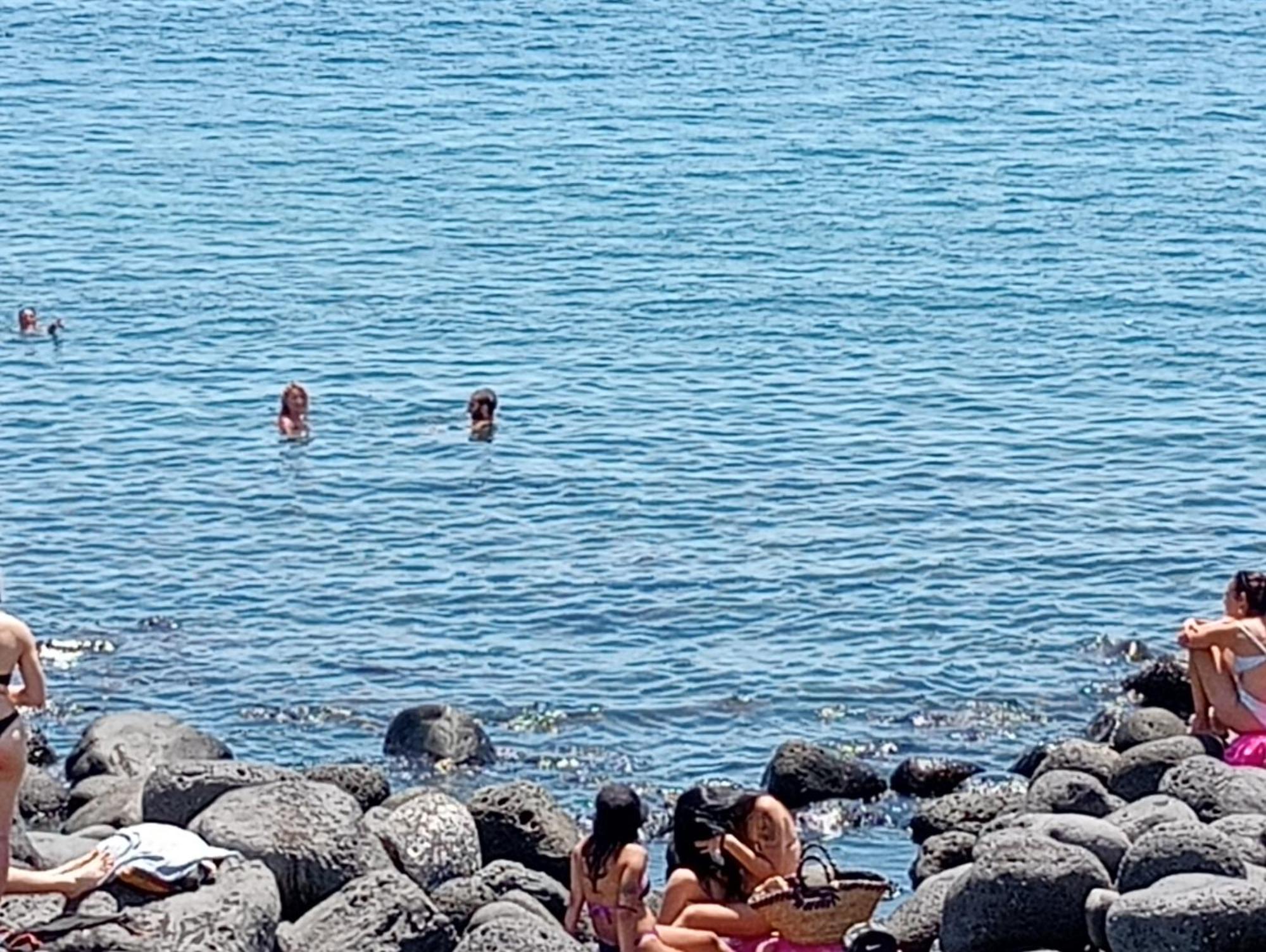 فيلا Mamis كاتانيا المظهر الخارجي الصورة